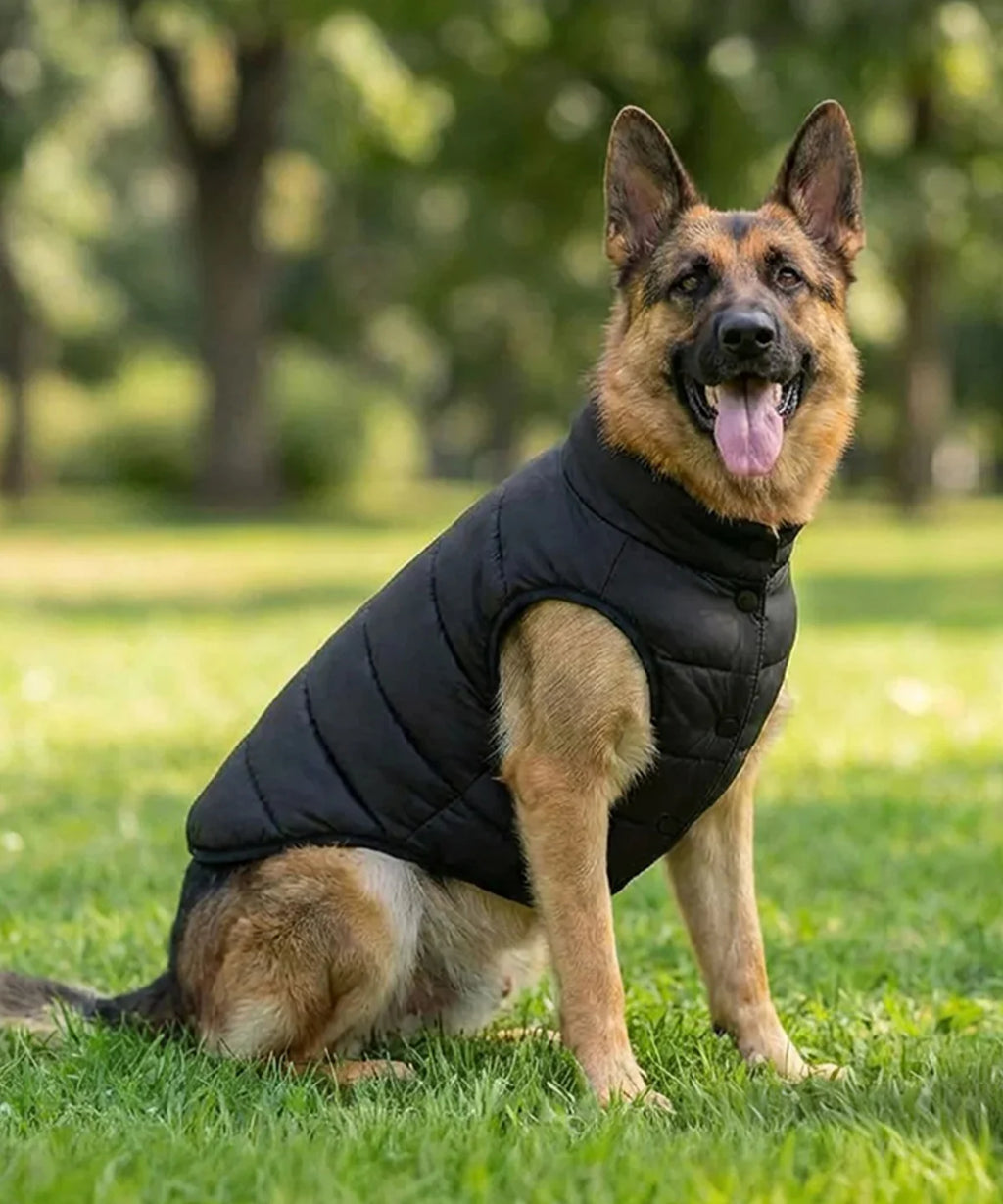 Embroidered Dog Puffer Jacket