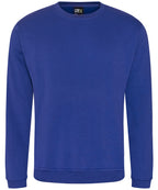 Pro sweatshirt