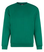 Pro sweatshirt