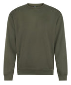 Pro sweatshirt