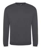 Pro sweatshirt