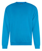 Pro sweatshirt